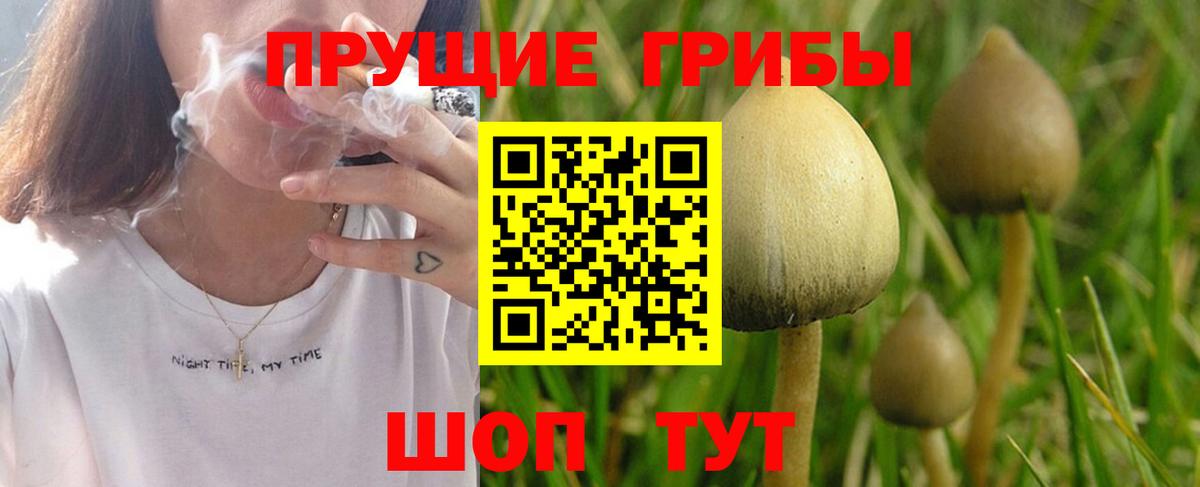Барабинск  Псилоцибиновые грибы Cubensis  Вход с VPN  Галлюциногенные грибы Psilocybe 